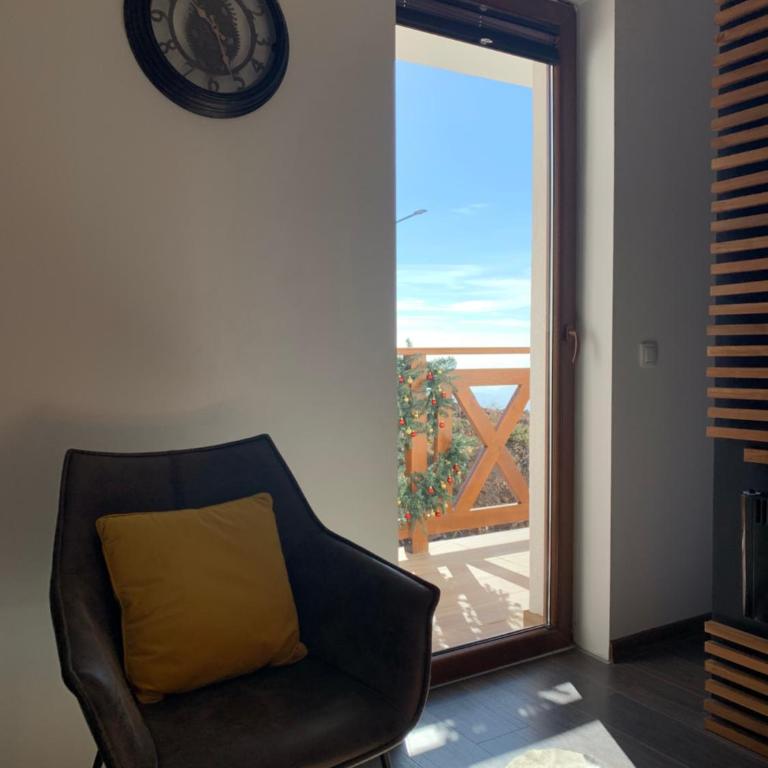 Mr Alek - Luxury Apartment Kopaonik - Deluxe Apartment - 13