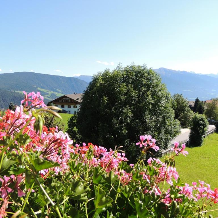 Rosenheim - Apartamento con balcón - 21