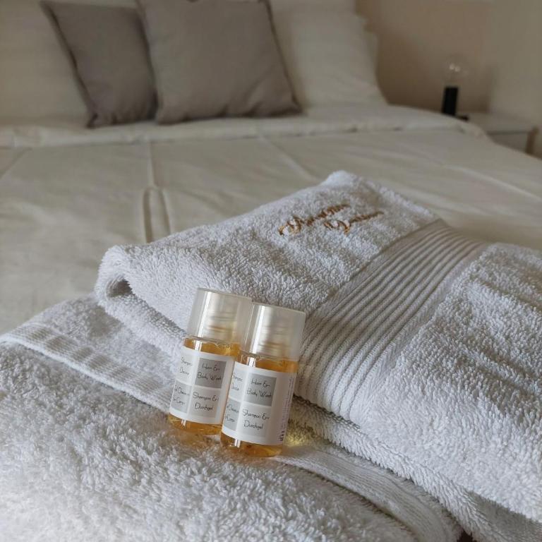 Apartman Drašković Zlatibor - Apartman sa 1 Spavaćom Sobom - 7