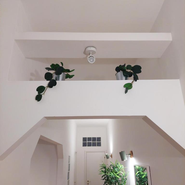 Conte Rosso Apartment - Appartamento con 2 Camere da Letto - 21