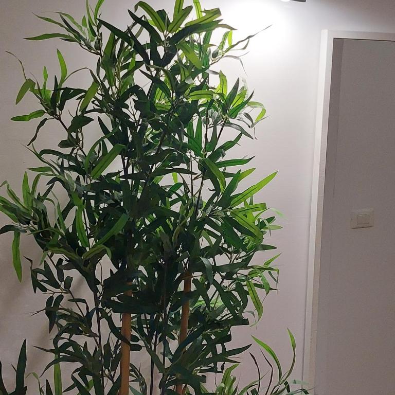 Conte Rosso Apartment - Appartamento con 2 Camere da Letto - 20