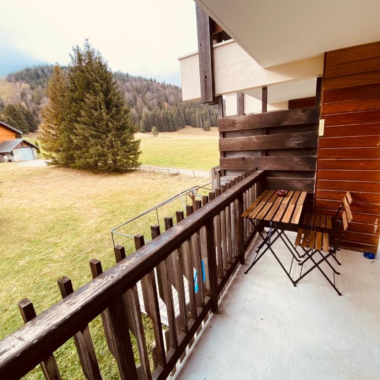 Superbe studio de montagne, au pied des pistes de ski, classé 3 étoiles - Appartement 2 Chambres - 7