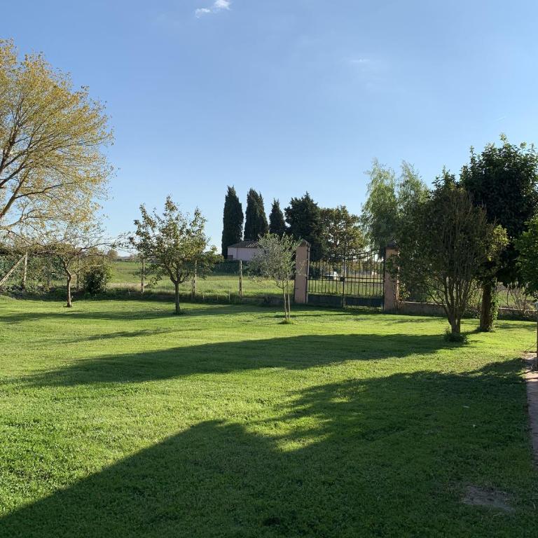 Villa Favilli - Villa - 42