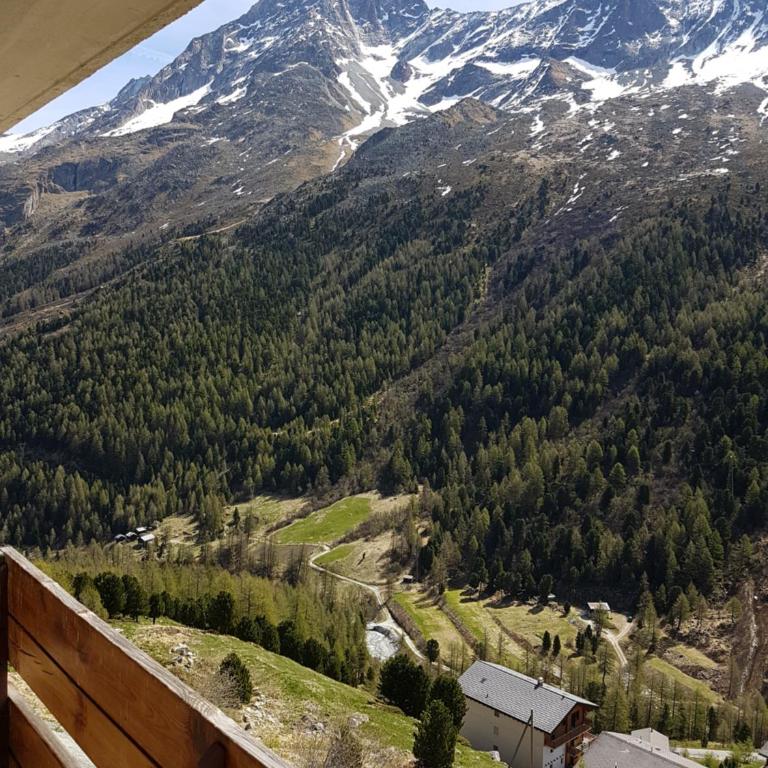 Le Panorama - Appartement 54 à Arolla face aux montagnes à 150m des pistes - Apartment mit 2 Schlafzimmern - 11