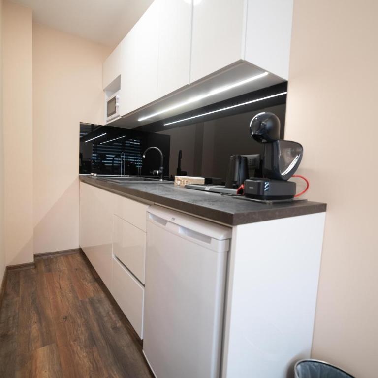 Luxury Apartments Una Sarajevo - Apartman - Prizemlje - 3