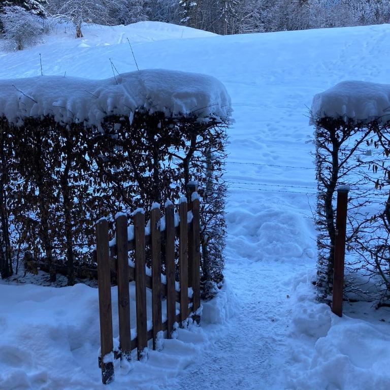 Appartement 2 pièces 5 pers pieds des pistes terrasse sans vis à vis - Appartement 1 Chambre - 7