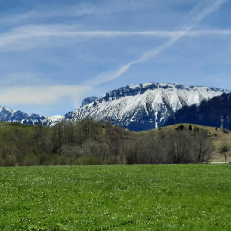 Allgäu Tipp - Apartment - 3
