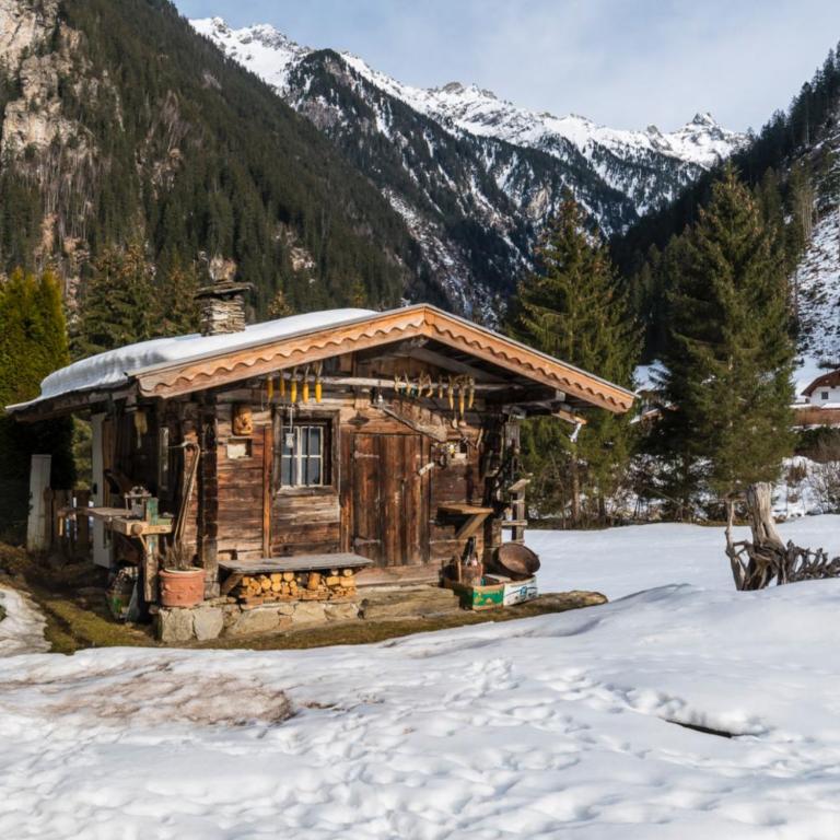 Zillertal Residenz - One-Bedroom Apartment with Shower - 24