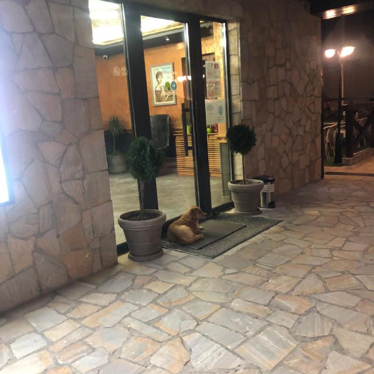 Apartman Kraljevi čardaci Makica Kopaonik sa garazom - One-Bedroom Apartment - 13