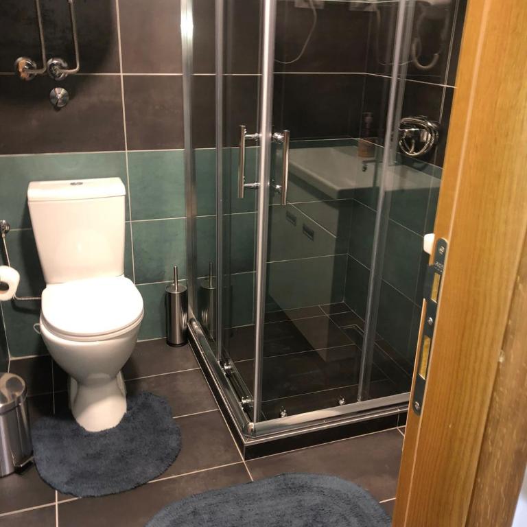 Apartman Kraljevi čardaci Makica Kopaonik sa garazom - One-Bedroom Apartment - 14