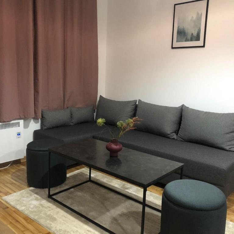 Apartman Kraljevi čardaci Makica Kopaonik sa garazom - One-Bedroom Apartment - 25