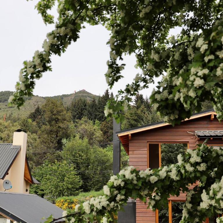 Espino Blanco Apartamentos - Apartamento de 2 dormitorios - 6