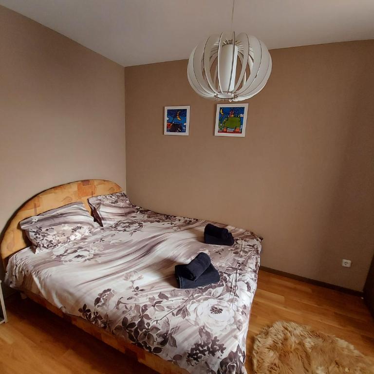 Vila Breg Zlatibor - Apartman sa 1 Spavaćom Sobom - Aneks Zgrada - 6
