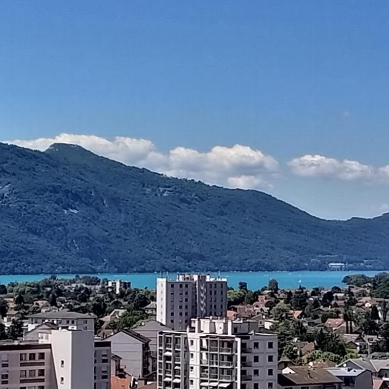 Vue Lac Imprenable et Calme Absolu en Hypercentre Garage Clim Wifi - Apartment mit 1 Schlafzimmer - 1