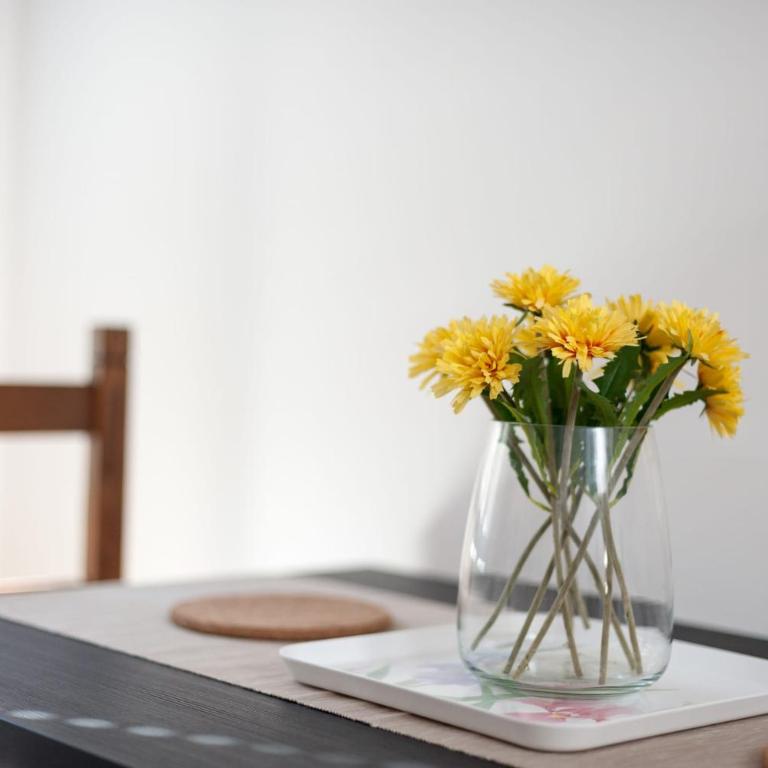 Granduca Apartment in Top Location - Appartamento - 85
