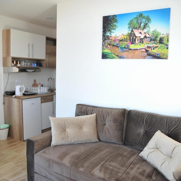 Apartmani Krstojević Kopaonik - One-Bedroom Apartment - 12
