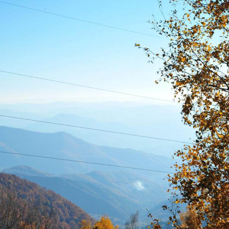 Apartmani Krstojević Kopaonik - One-Bedroom Apartment - 13