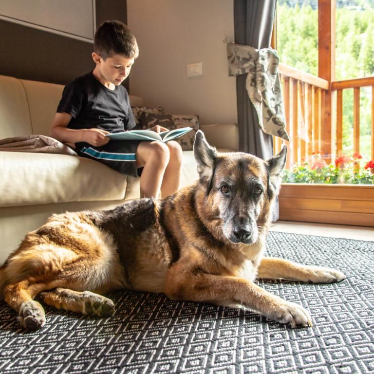 Alta Luce Mountain Lodge - Appartamento con 1 Camera da Letto - 12