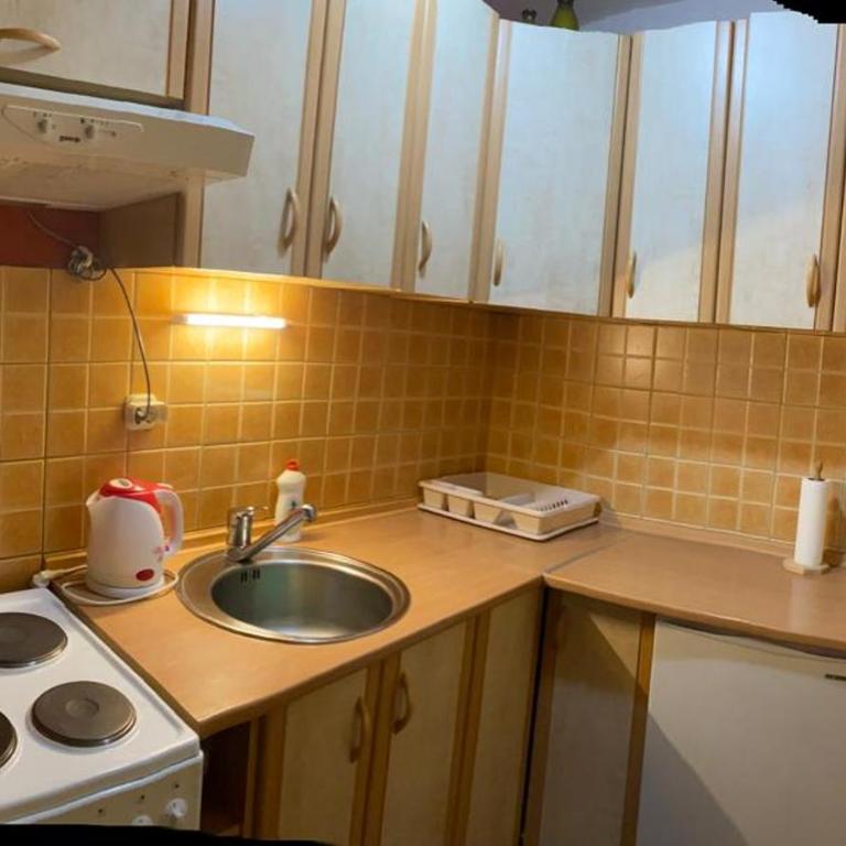 Apartmani Marija - One-Bedroom Apartment with Fireplace - 7