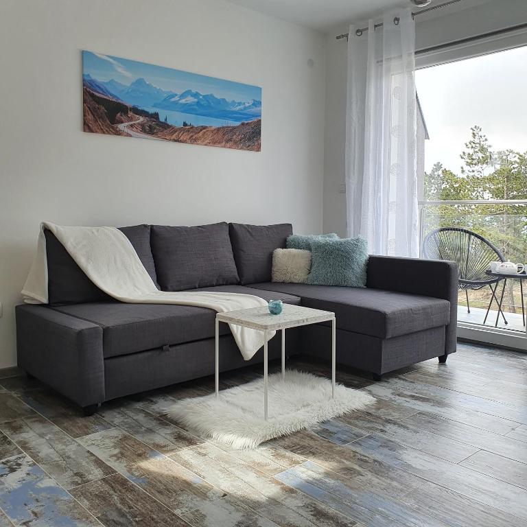 Apartman Zlatni breg Divčibare - Apartman sa 1 Spavaćom Sobom - 4