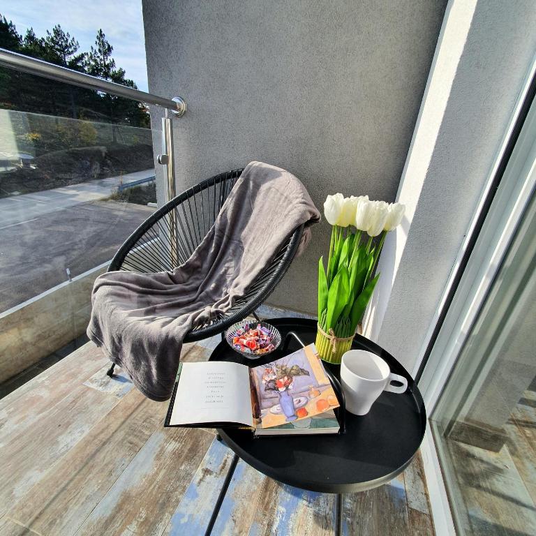 Apartman Zlatni breg Divčibare - Apartman sa 1 Spavaćom Sobom - 1