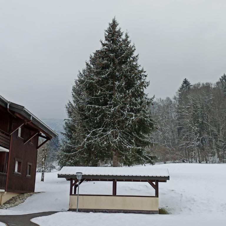 studio Morillon village - Studio - 17