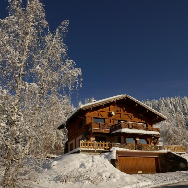 Les Saisies côté Bisanne appartement dans chalet LE Népal - Apartment mit 1 Schlafzimmer - 3