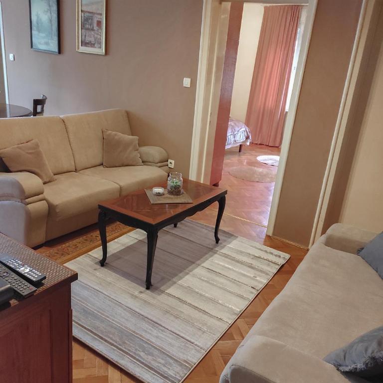 Center 1 Podgorica - Apartman sa 1 Spavaćom Sobom - 10