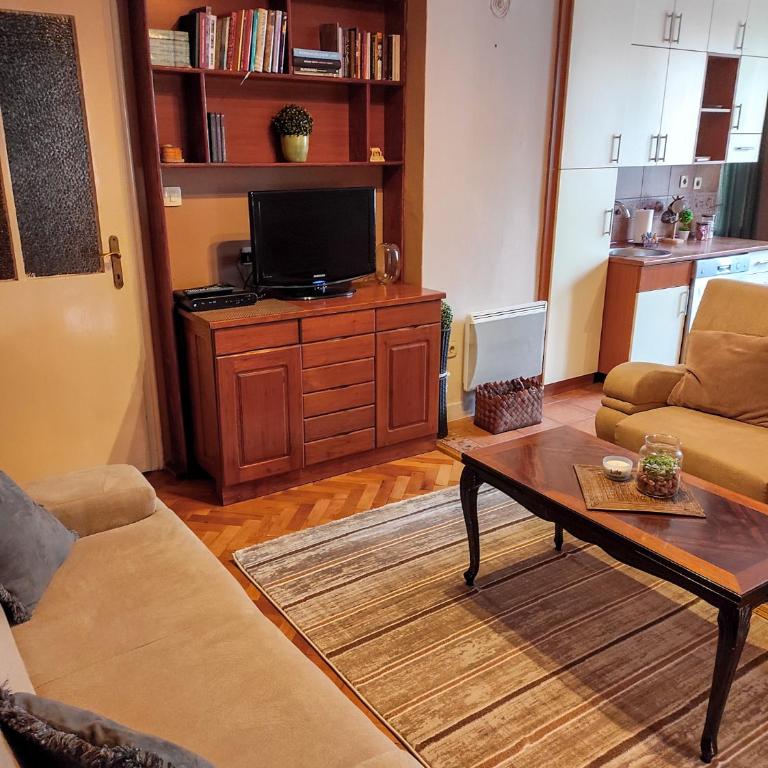 Center 1 Podgorica - Apartman sa 1 Spavaćom Sobom - 11