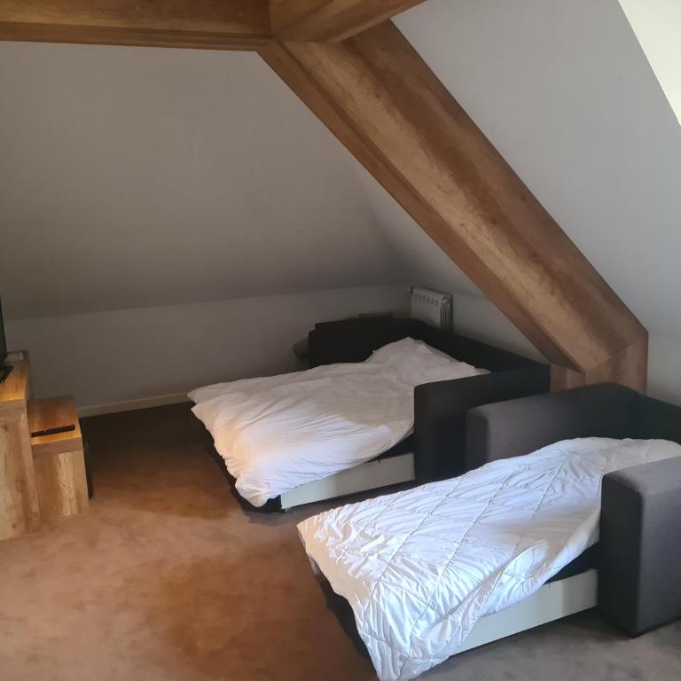 FEMI Kopaonik Apartment, Župa Aparthotel, Kopaonik Center - Apartman sa 1 Spavaćom Sobom - 8