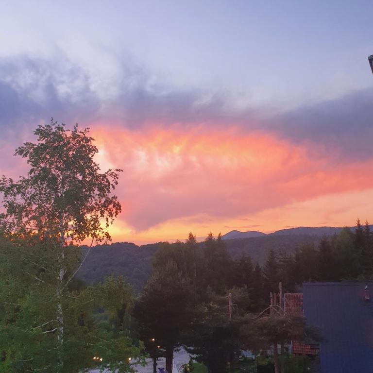 Apartman Lucky 2 Kopaonik - Apartman sa 1 Spavaćom Sobom - 23