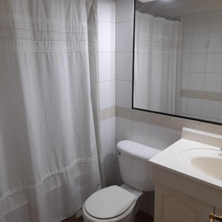 Departamento Temuco Thiers - Apartamento de 3 dormitorios - 11