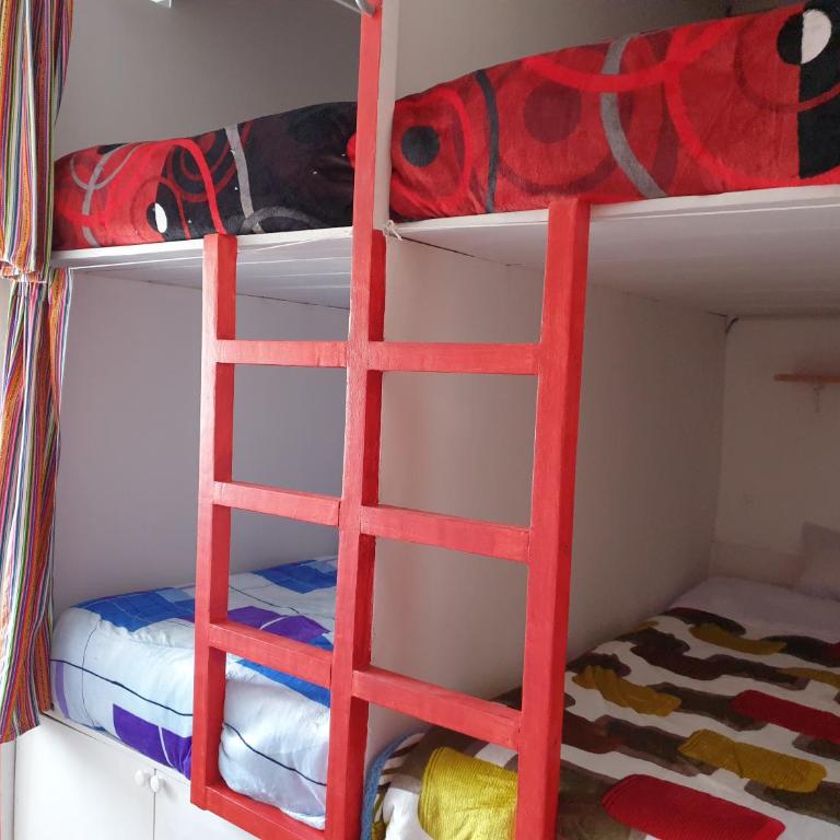 SK Hostal - Cama en habitación compartida mixta de 6 camas - 7