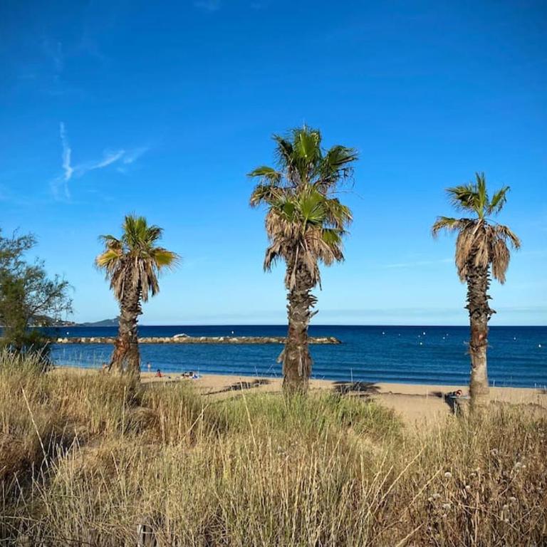 Port-Fréjus, LE PALADIEN, appartement 2 pièces climatisé, terrasse & parking - Appartamento con 1 Camera da Letto - 51