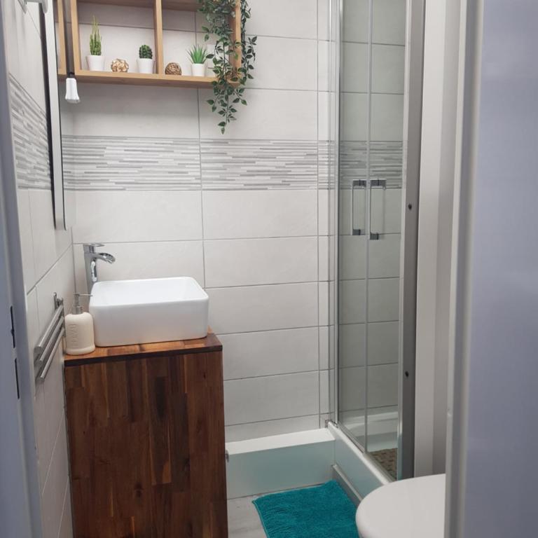 La Rose des Sables, T2 à la mer, terrasse et garage - Appartement 1 Chambre - 15