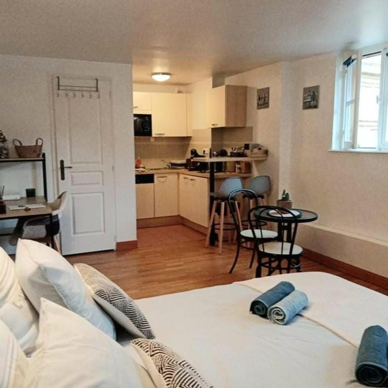La Vicomté - Quai Henri IV - WIFI gratuit - Studio - 12