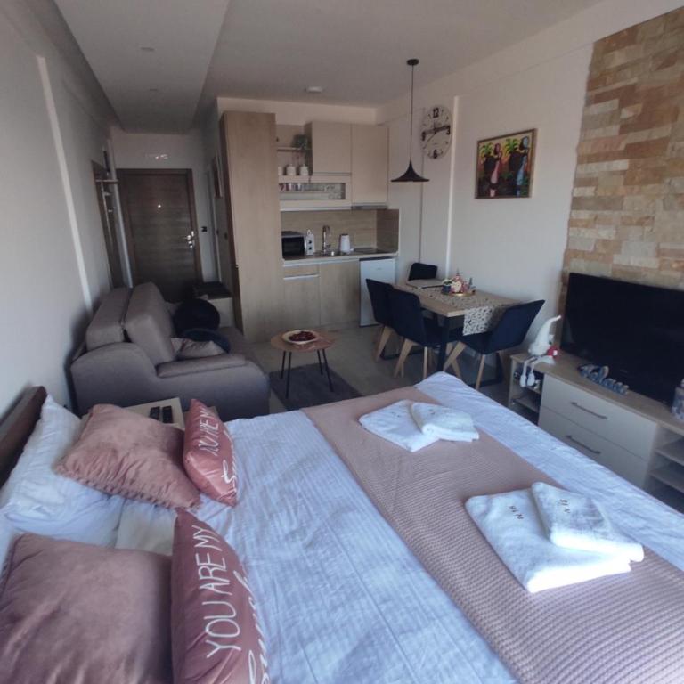 Apartman MOUNTAIN VIEW Milmari Resort - Studio - 22