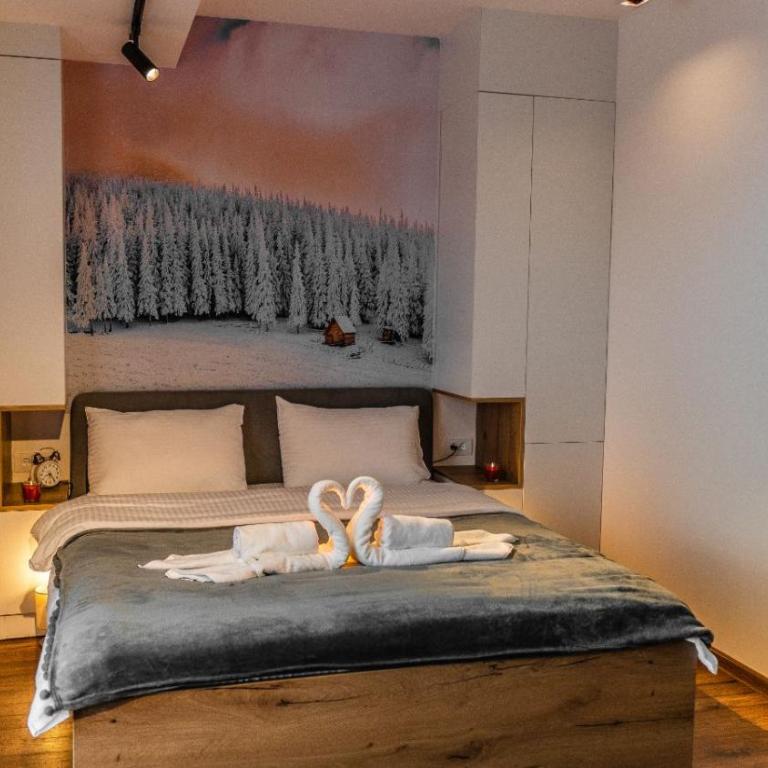 Apartmani TIM & SPA CENTAR - Studio with Terrace - 26