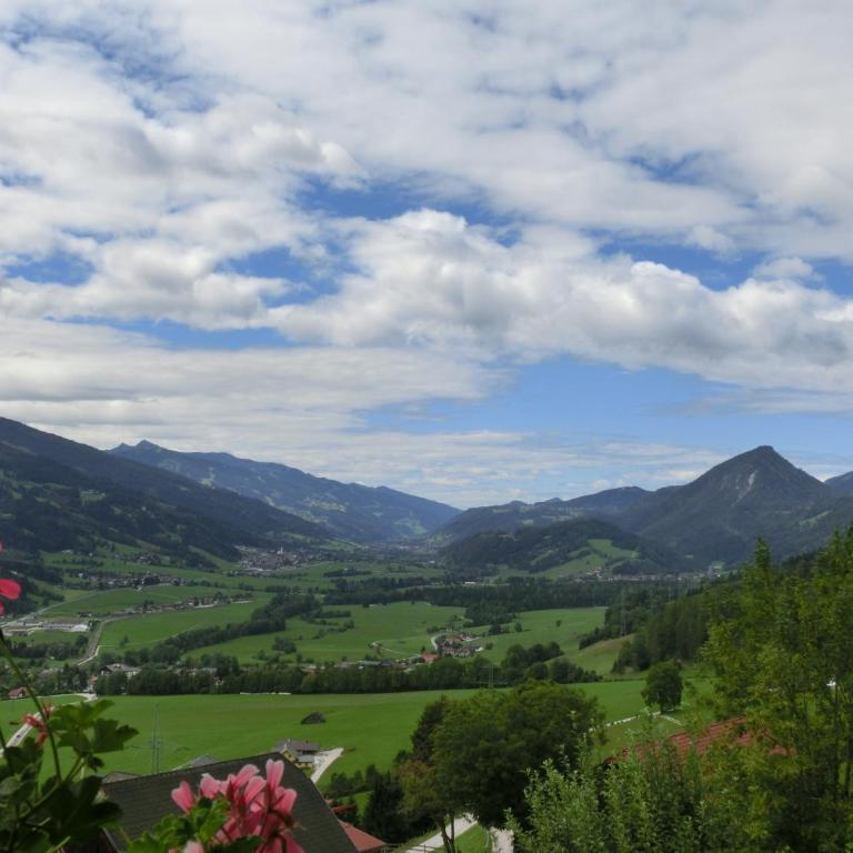 Ferienhaus Schwab - Appartamento con Vista Montagna - 20