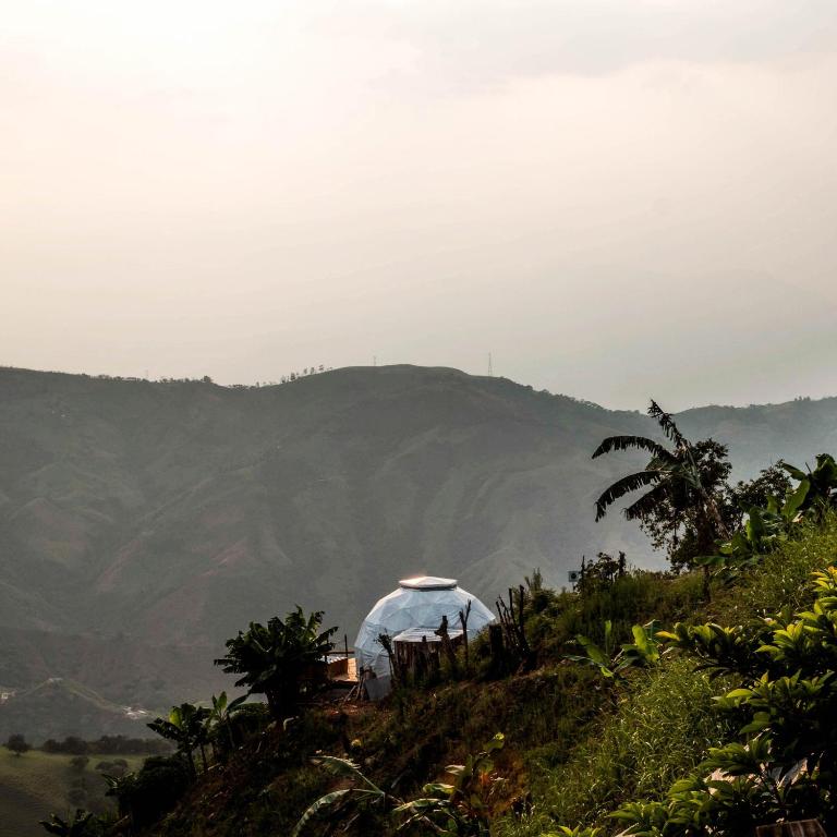 Entre Verdes Hotel & Glamping - Bungalow with Garden View - 1