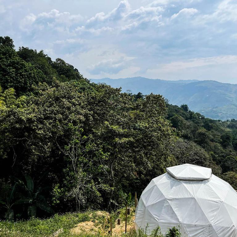 Entre Verdes Hotel & Glamping - Bungalow with Garden View - 8