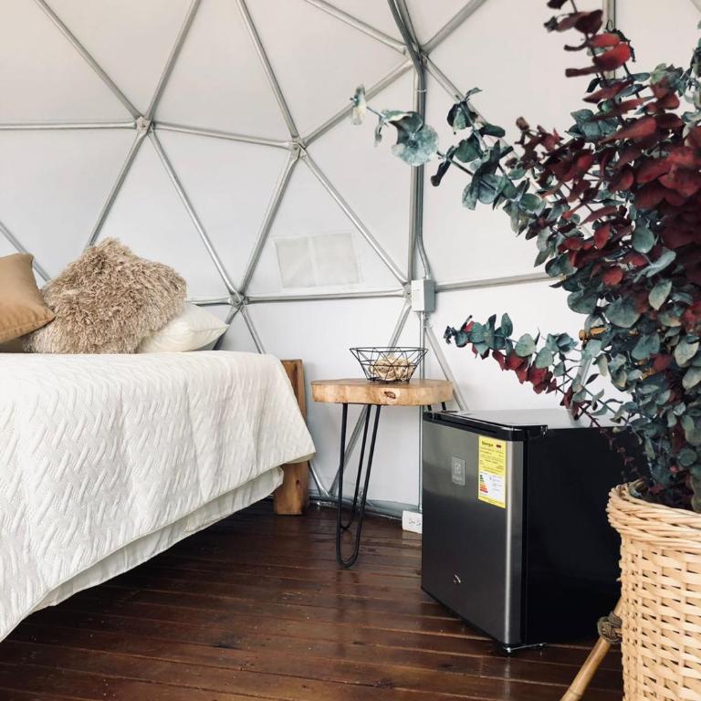 Entre Verdes Hotel & Glamping - Bungalow - 5