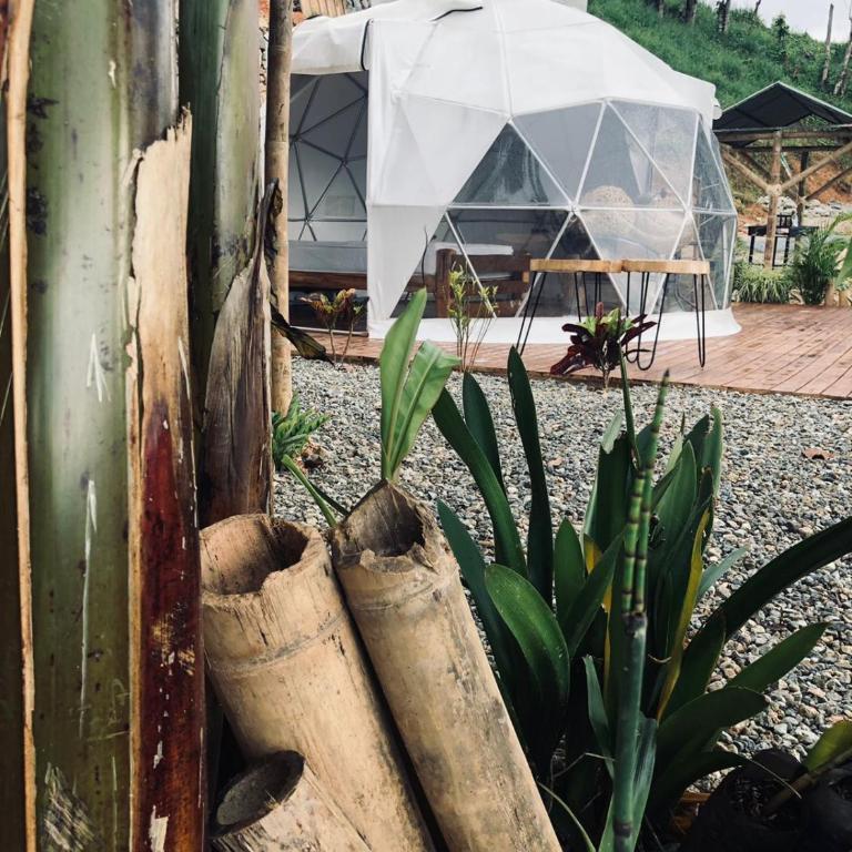 Entre Verdes Hotel & Glamping - Bungalow - 1