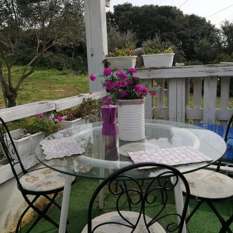Eucaliptus Farm Retreat - Junior Suite Deluxe - 8