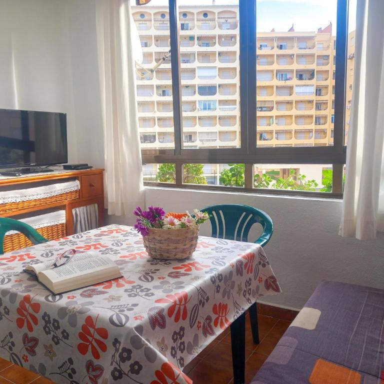 Apartamento Hibisco , Primera Línea de Playa - Apartamento de 1 dormitorio - 20