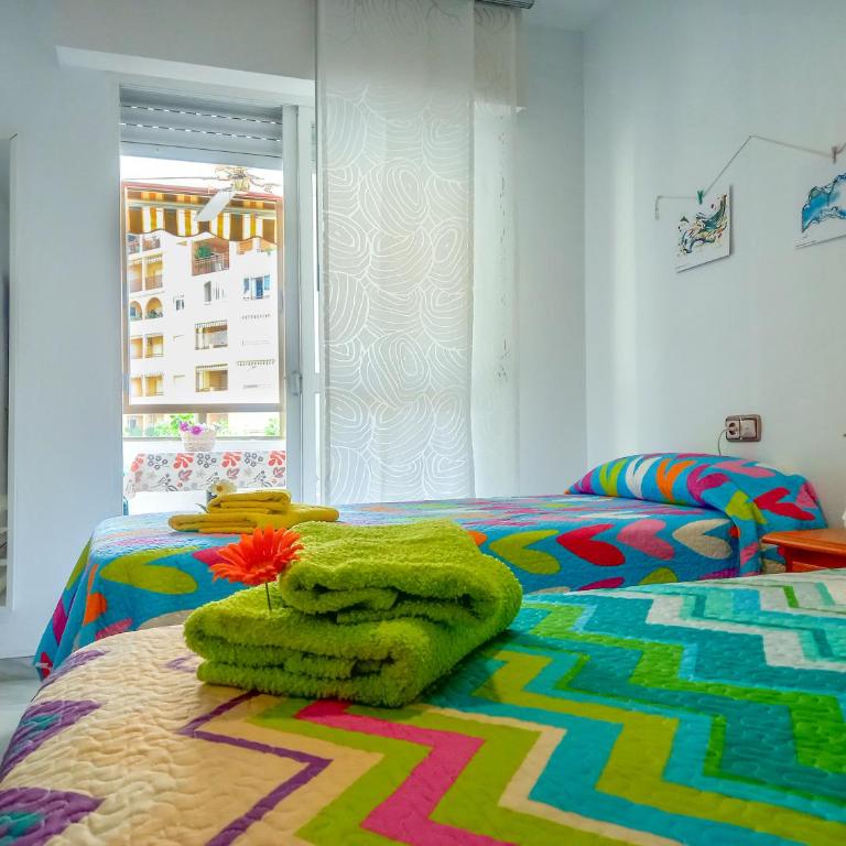 Apartamento Hibisco , Primera Línea de Playa - Apartamento de 1 dormitorio - 12