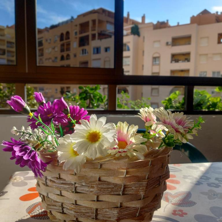 Apartamento Hibisco , Primera Línea de Playa - Apartamento de 1 dormitorio - 23