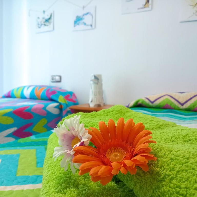 Apartamento Hibisco , Primera Línea de Playa - Apartamento de 1 dormitorio - 14