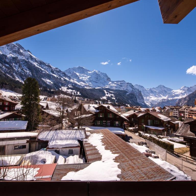 Chalet Schneehoren Penthouse - Penthouse-Apartment - 46
