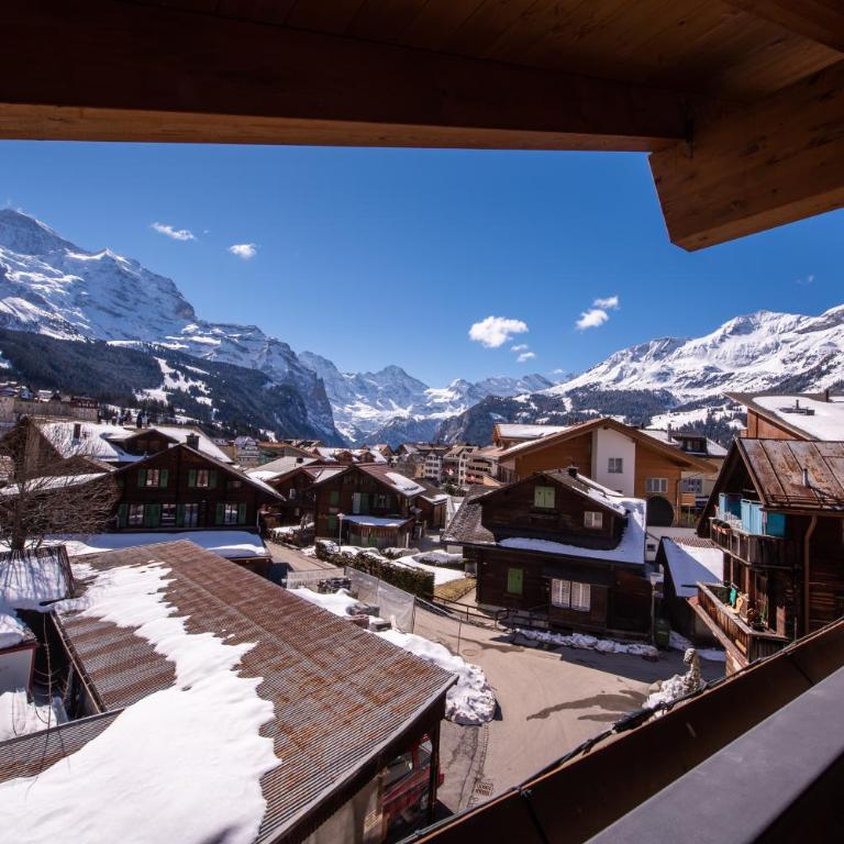 Chalet Schneehoren Penthouse - Penthouse-Apartment - 48